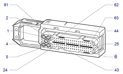 CruiseControl Z17DTL ECU Pinout